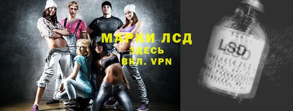 соль ск Новозыбков