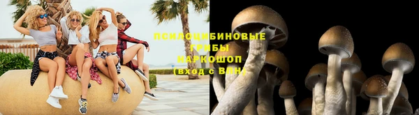 соль ск Новозыбков