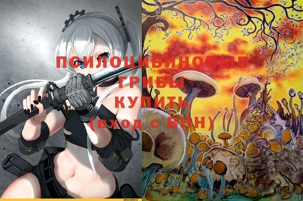 каннабис Новокубанск