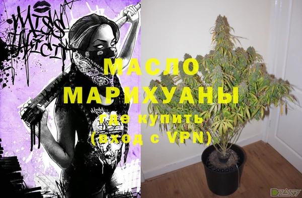 молекула духа Новодвинск