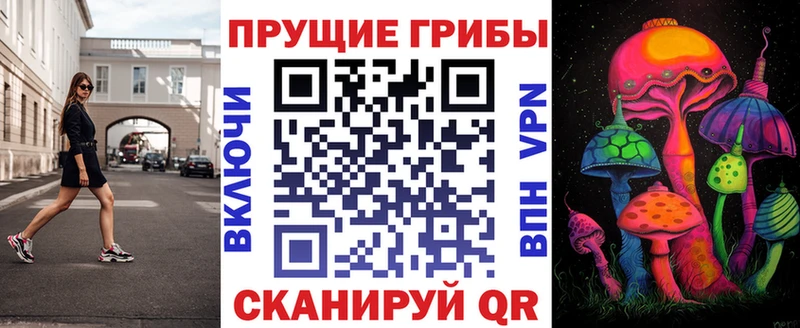 Псилоцибиновые грибы Magic Shrooms  что такое   Родники 