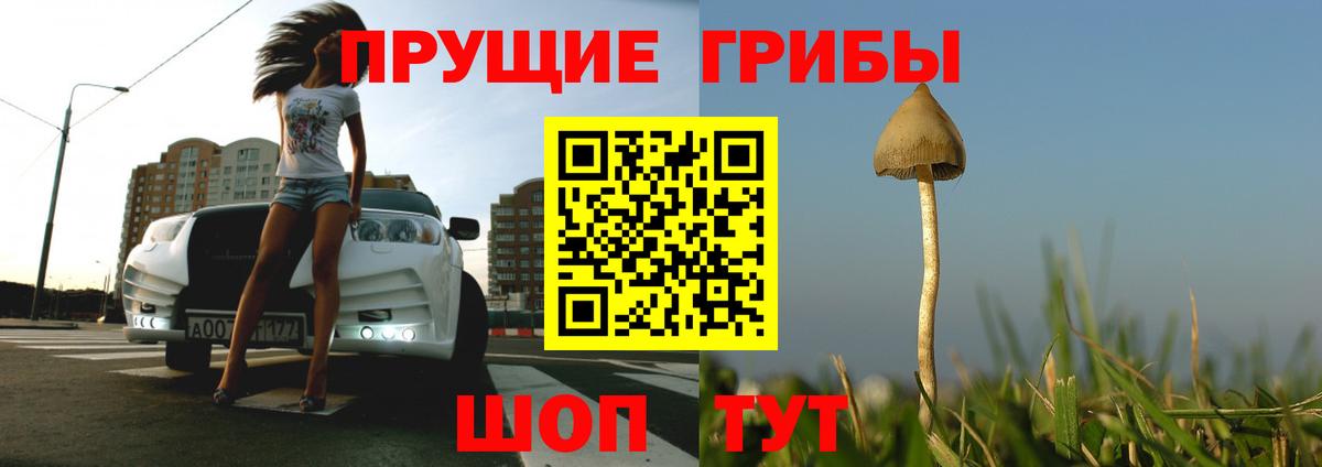 Псилоцибиновые грибы мухоморы  Вход с VPN  Родники 